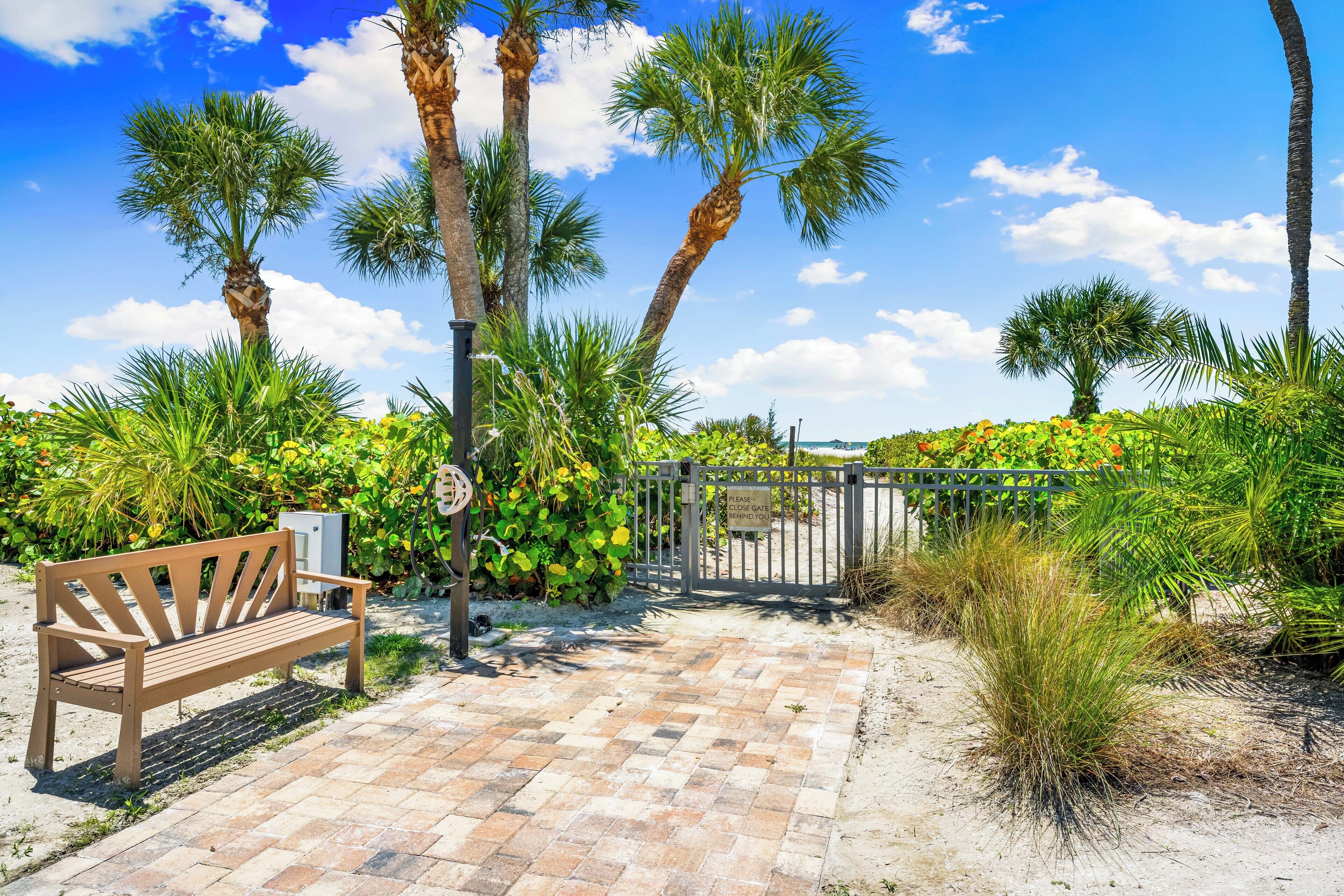 A bench, palm trees, and a gate in a garden area.