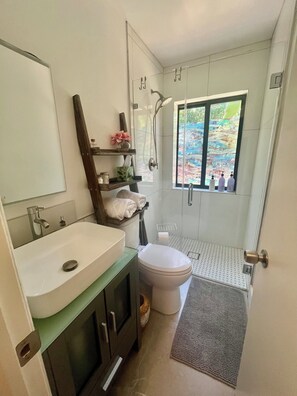 Shower, hair dryer, bidet, towels