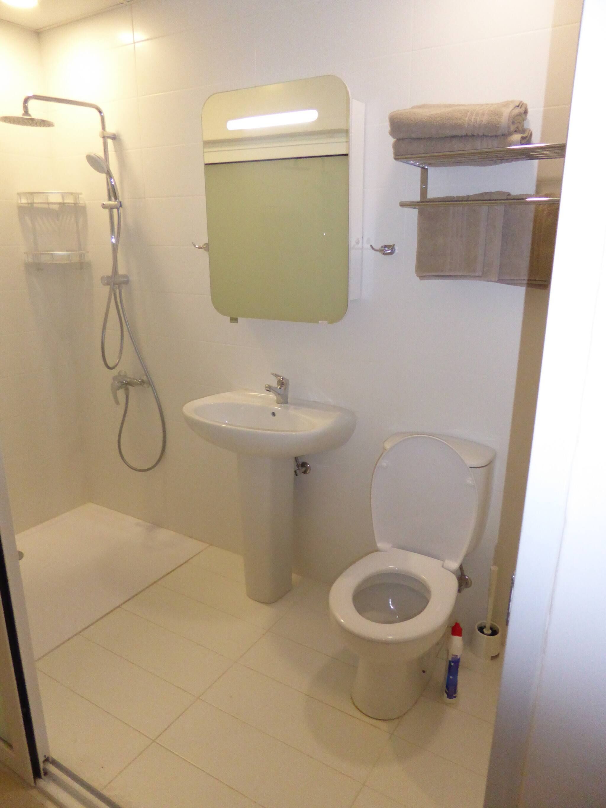 A bathroom with a shower, sink, toilet, and a mirror.