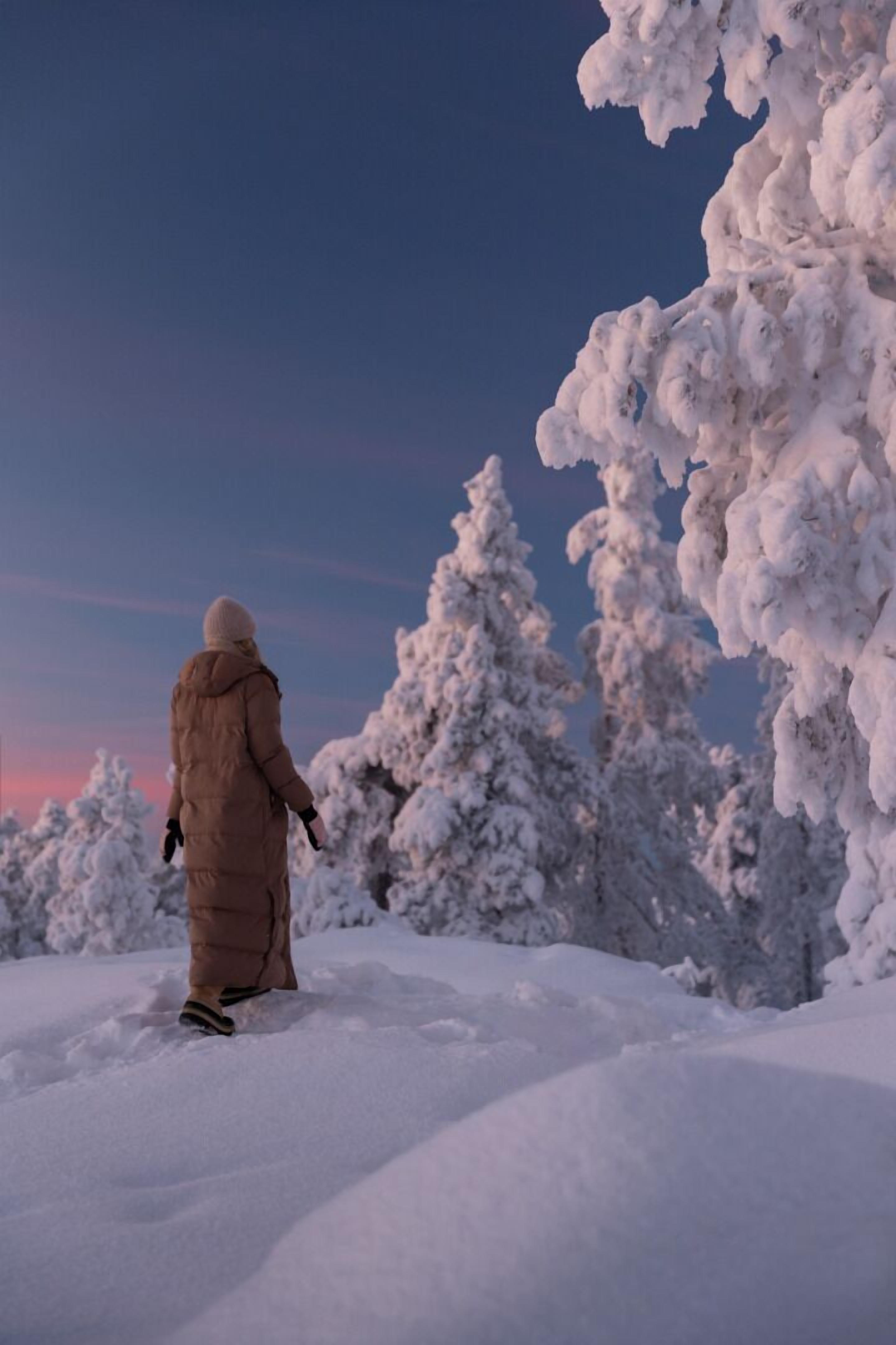 Photo - SkyView Igloo Resort