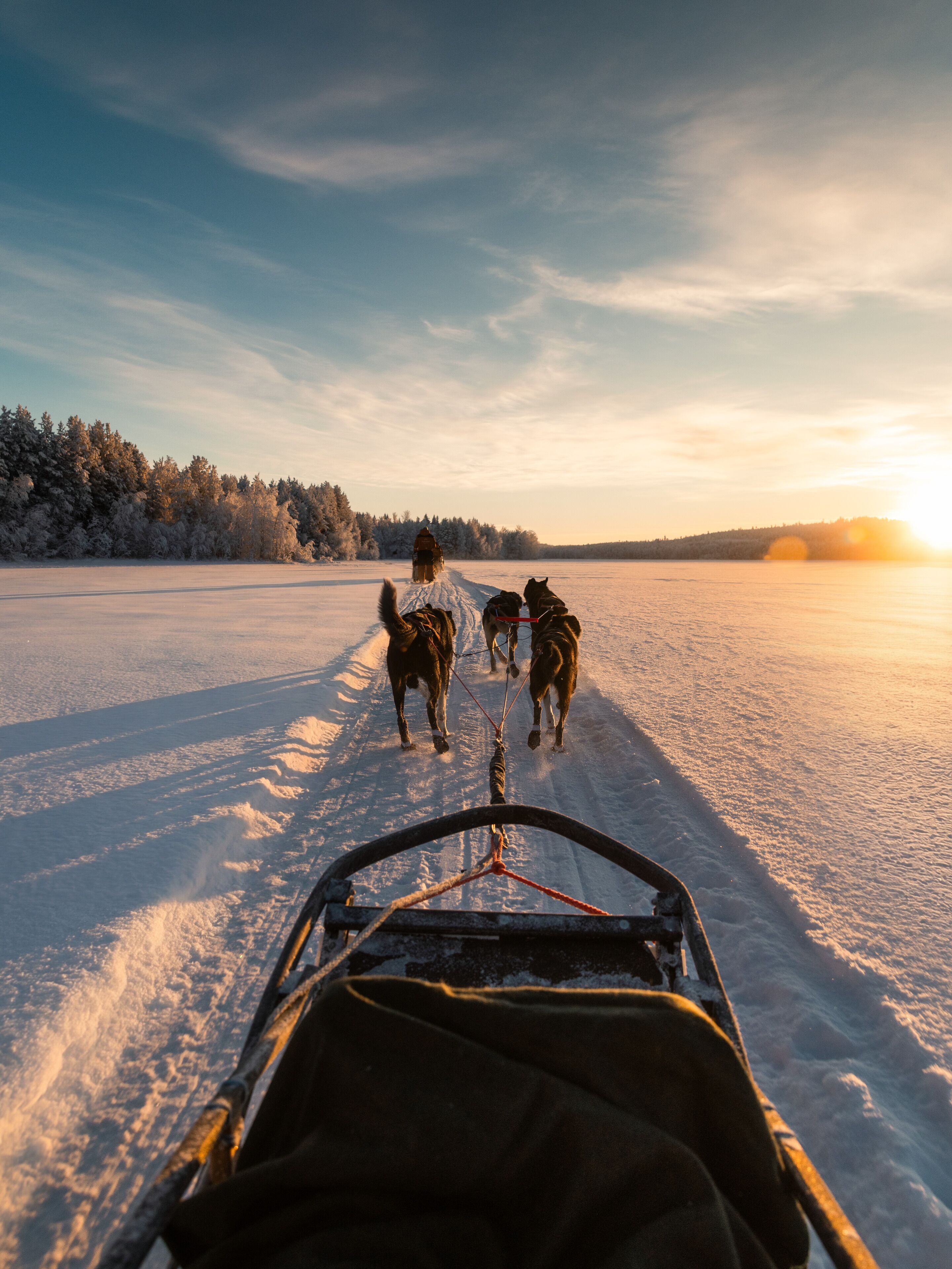 Photo - SkyView Igloo Resort