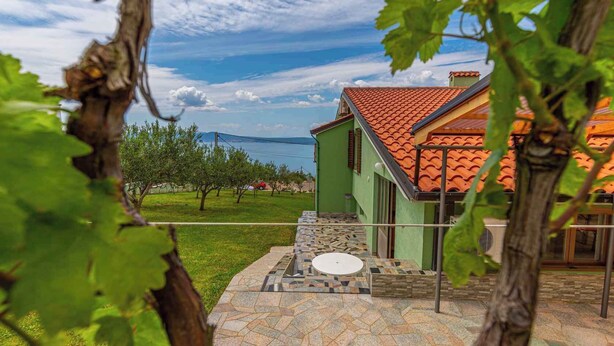 A vineyard with a house featuring a tiled roof and a stone patio. - Studio Mistral 6 (Crikvenica)