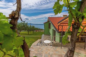 Un vigneto con una casa dotata di tetto in tegole e patio in pietra.