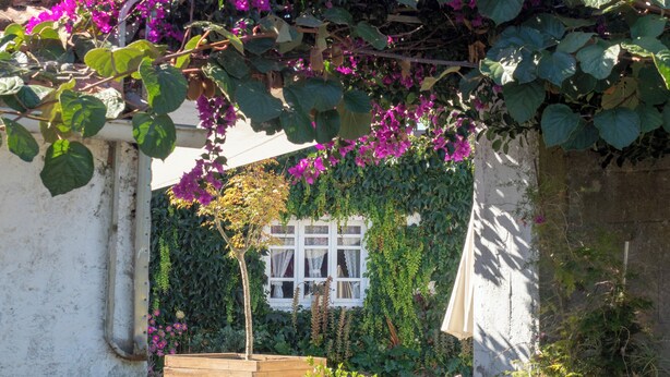 Ein Gartenportal mit einer hölzernen Bank, Blumentöpfen und einer weißen Mauer mit einem Fenster.