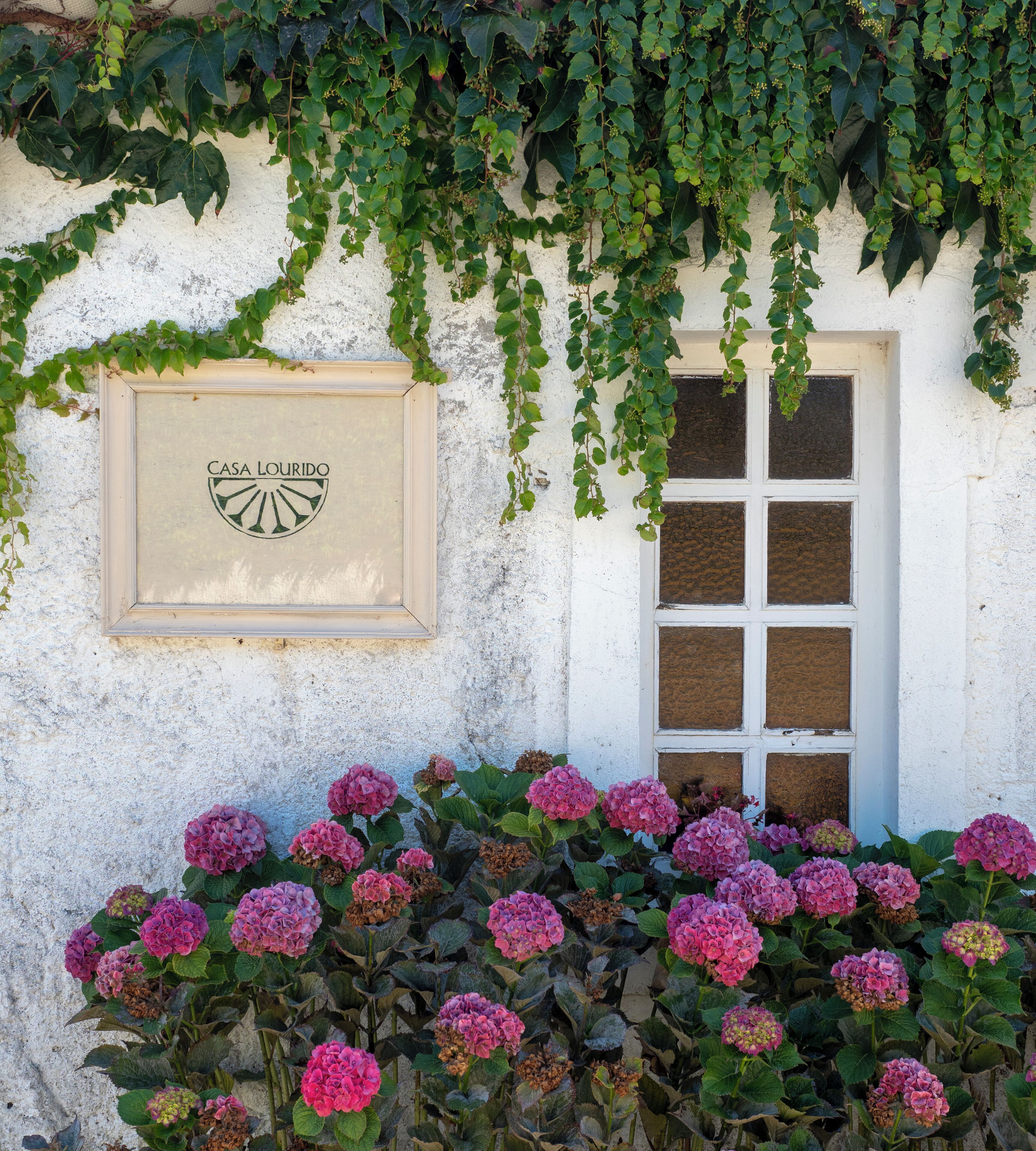 Fachada del alojamiento