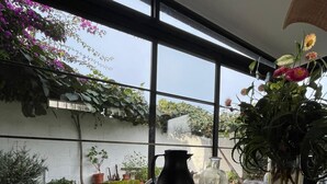 Ein Frühstückstisch mit Tellern, Gläsern und einer Karaffe, mit Blick auf einen Garten mit Topfpflanzen und einem Blick zum Himmel durch große Fenster.