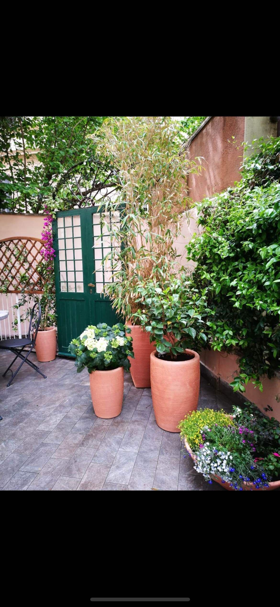 A courtyard with potted plants, a green gate, and a chair.