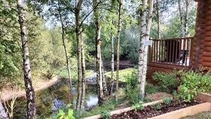 A wooden deck with a view of a pond surrounded by birch trees.