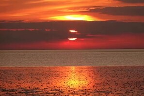 ハウス | ビーチ