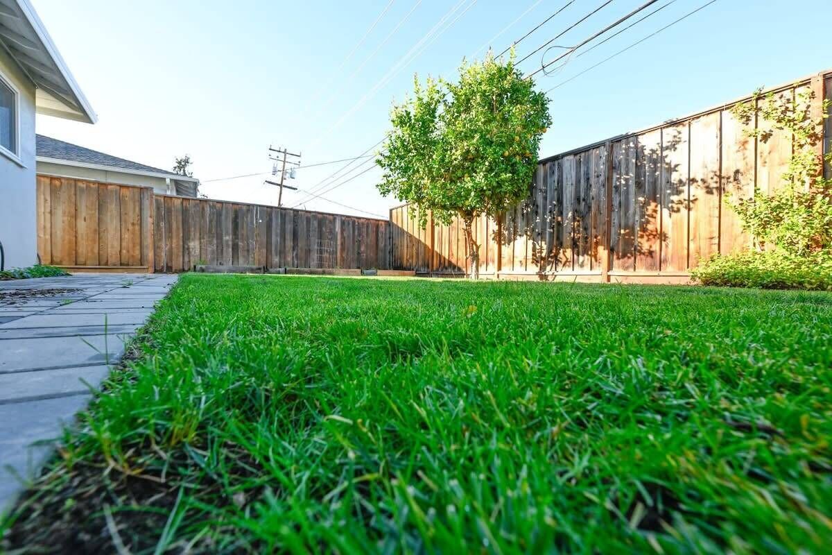 Un patio trasero con cerco de madera, un árbol y césped bien cuidado.
