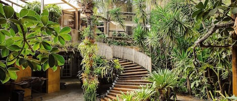 A spiral staircase surrounded by lush greenery and plants, leading to a wooden door.