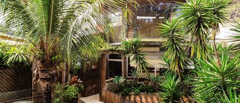 Exclusive Villa | Property grounds