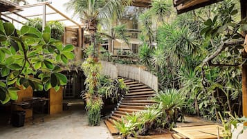 Exclusive Villa | Property grounds