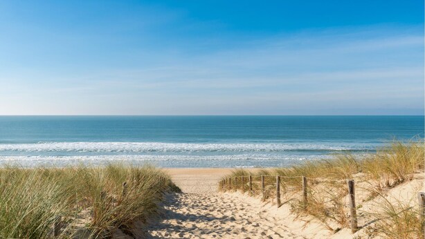 A sandy beach with a wooden fence and grass in the foreground, leading to the ocean.