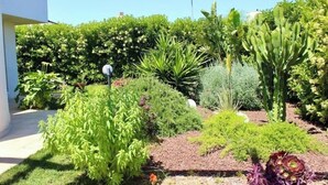 Un jardín con diversas plantas y un sendero que lleva a un edificio.