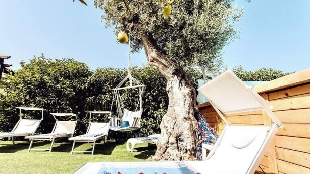 Un patio con sillones de descanso, un árbol y una silla colgante.