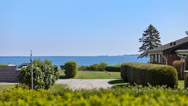 A coastal view with a grassy lawn, a hedge, and a building with the number 6.