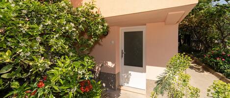 Detalle del exterior