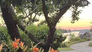 A grassy area with orange flowers and trees.