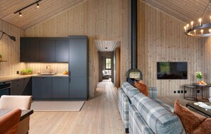 تلفزيون ذكي، مدفأة