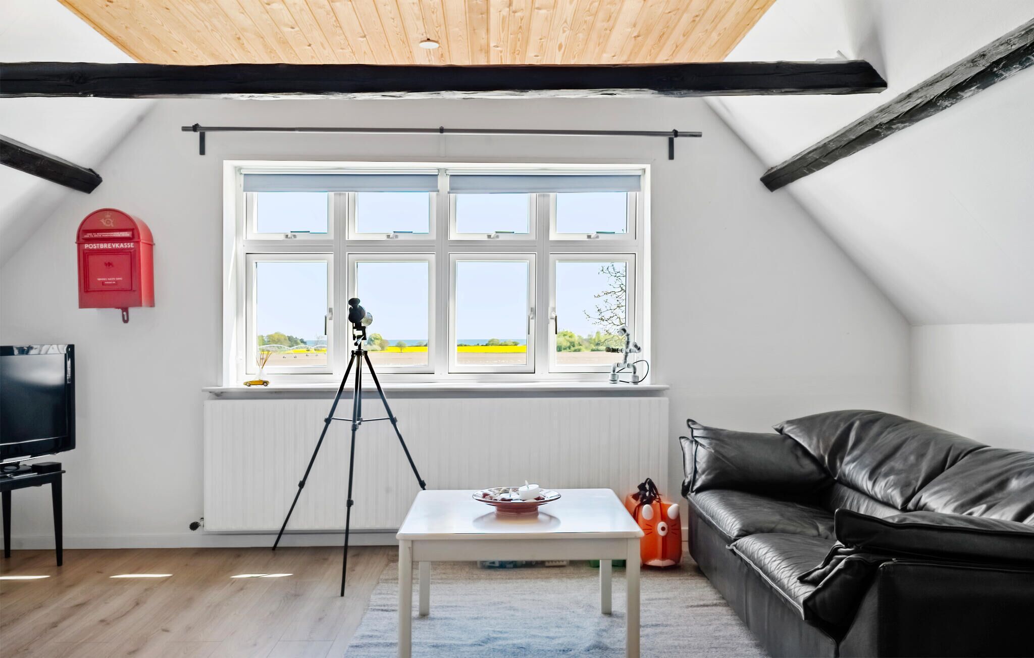 A room with a large window, a tripod, a table with a cake, a black leather sofa, and a red mailbox.