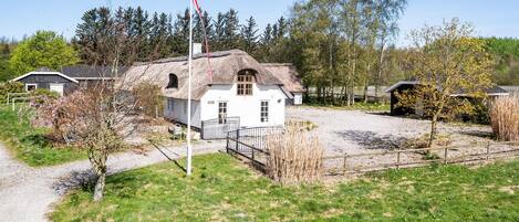 Esterni