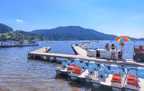 Marina - Gorgeous apartment in Gérardmer (Gérardmer)