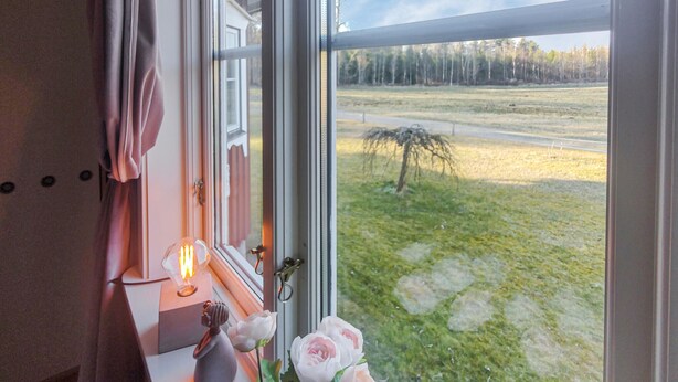 Ein Fenster mit Blick auf ein grasbewachsenes Feld und Bäume, eine Vase mit Blumen und ein dekorativer Gegenstand auf einer Fensterbank.