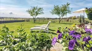 Ein Garten mit Rasen, zwei Bäumen und einer Reihe weißer Liegestühle.
