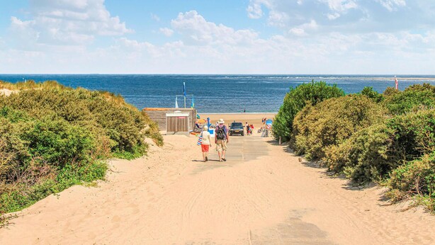 Ein sandiger Pfad führt zu einem Strand mit einem Rettungsturm und einem Rettungsring.