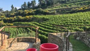 Un vignoble avec des rangées de vignes et une construction en pierre dotée d’une rambarde métallique.
