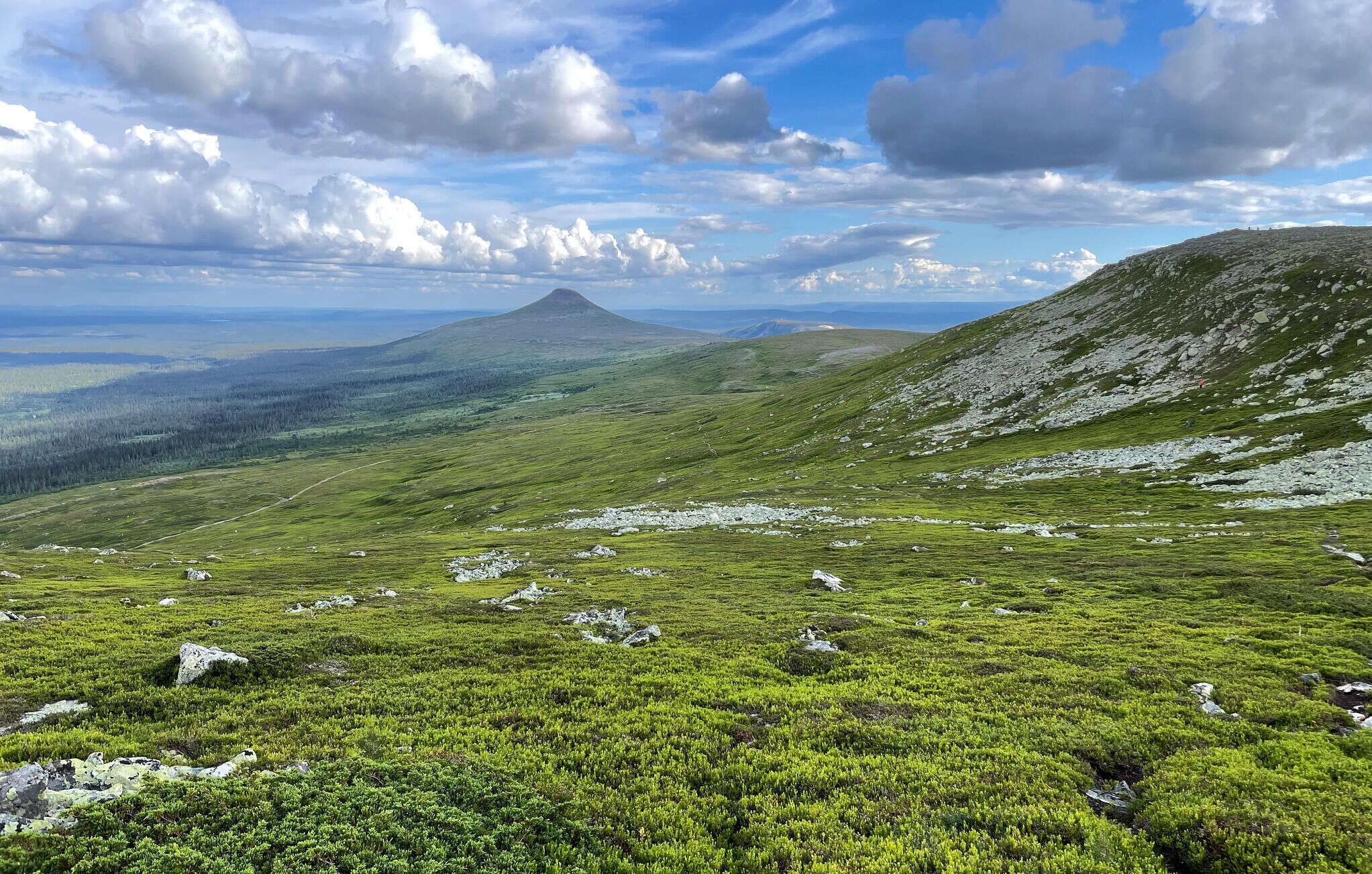 A panoramic view of a mountainous landscape with a prominent hill and a distant mountain peak.