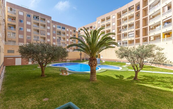 Pool - Gorgeous apartment in Torrevieja (Torrevieja)