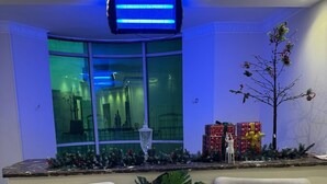 Un espace d’accueil avec deux fauteuils, une plante en pot et un sapin de Noël décoré de cadeaux.