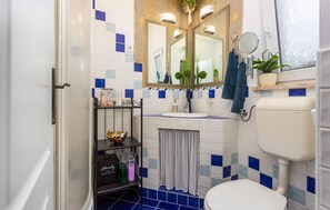 Shower, hair dryer
