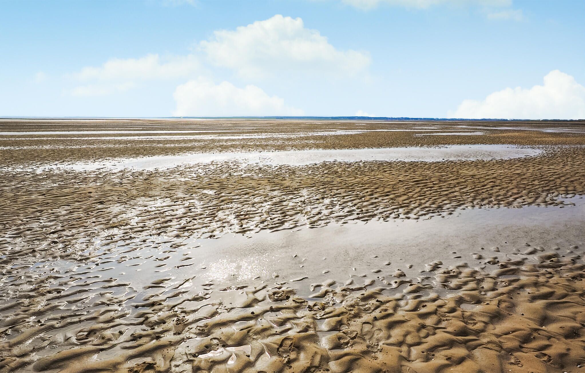 A wide, flat landscape with a clear sky and distant horizon.