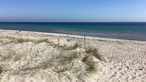 A sandy beach with sparse vegetation and a clear view of the ocean.