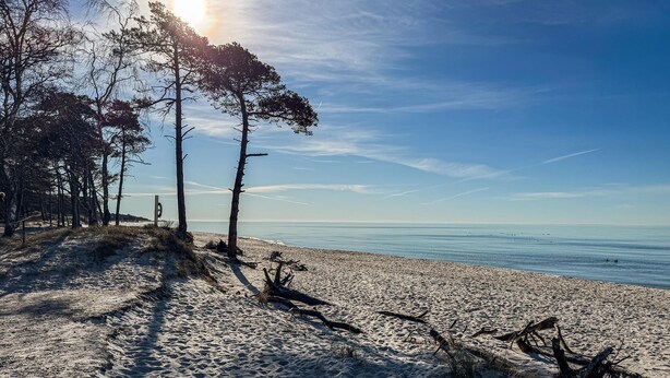 A beach with a clear sky, trees, and a calm sea. - Awesome home in Nexø with sauna (Nexø)