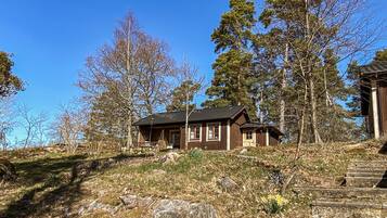 Exteriör