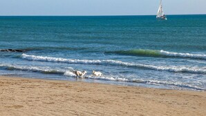 Uma praia com ondas, um veleiro ao longe e gaivotas na costa.