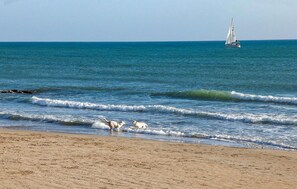 Pesca