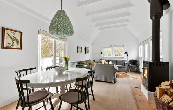 智能电视、壁炉