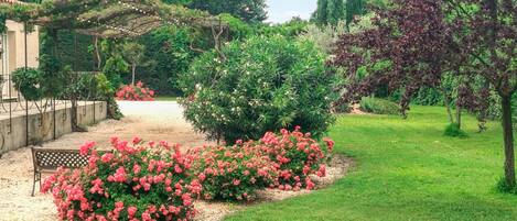 Terrein van de accommodatie