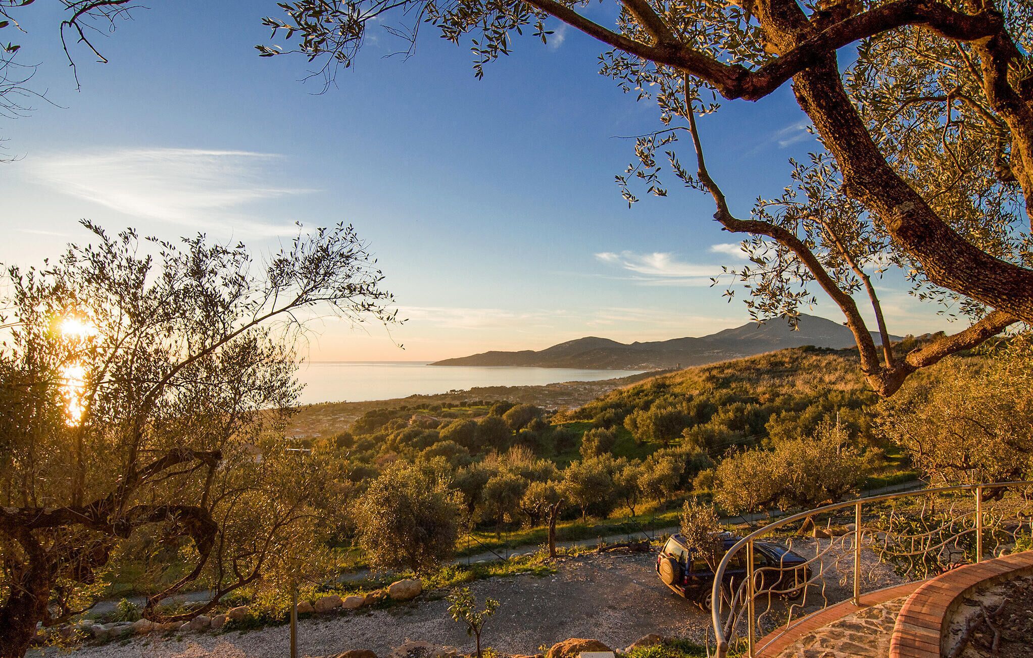 Una vista panoràmica d'un paisatge costaner amb oliveres, un cel serè i una serralada llunyana.