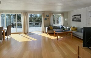 Smart TV, fireplace, DVD player