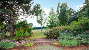 A garden pathway with various plants and flowers, leading to a grassy field.