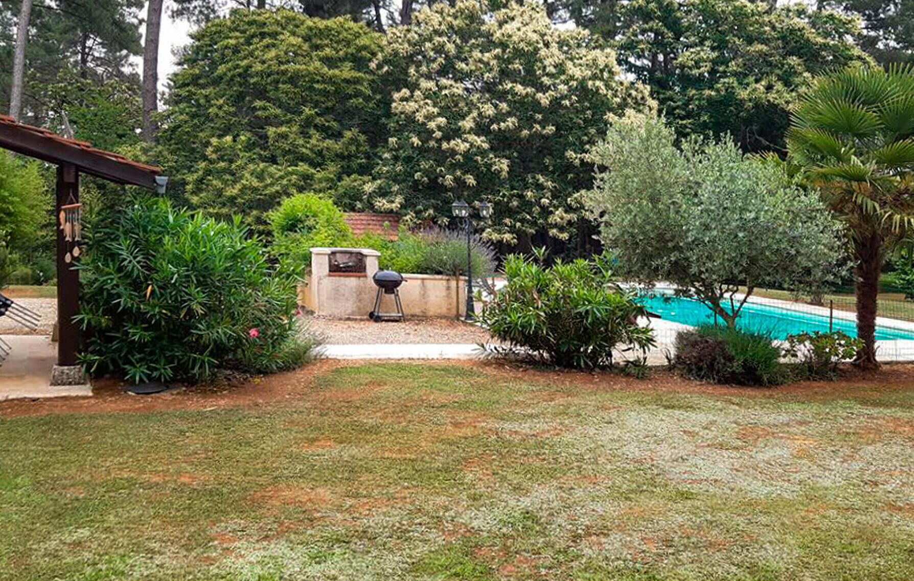 A backyard with a barbecue grill, a small pool, and various plants.