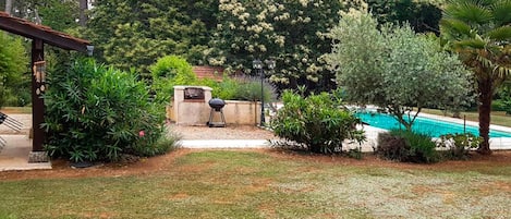 A backyard with a barbecue grill, a small pool, and various plants.