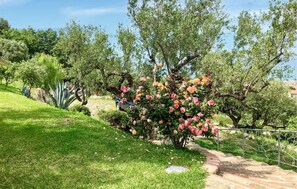 Property grounds - Il Giardino dei Filosofi (Ascea)