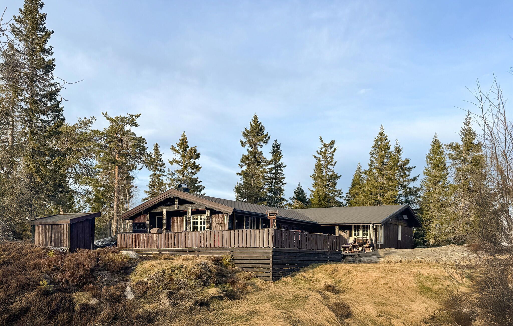 A rustic cabin with a wooden deck, surrounded by tall pine trees.
